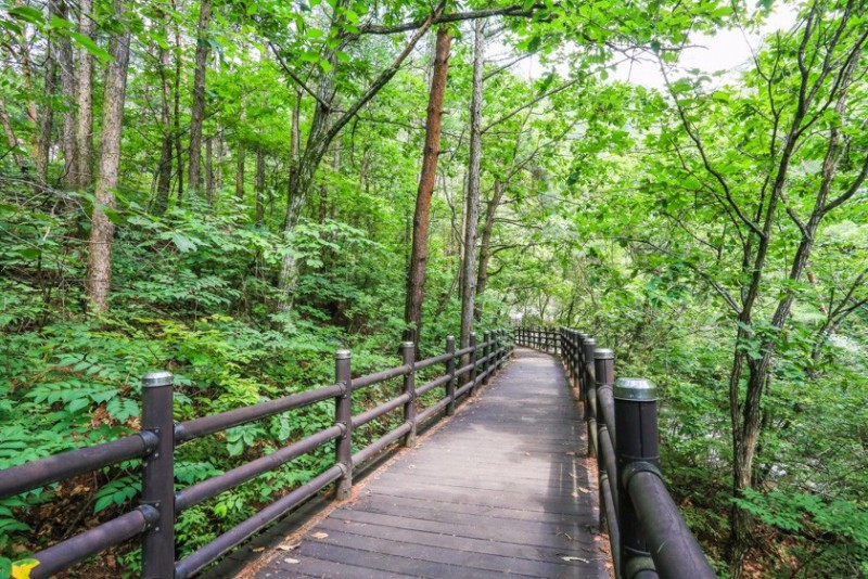 단양샬롬펜션 이미지