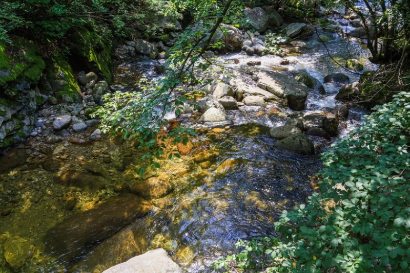 단양샬롬펜션 이미지