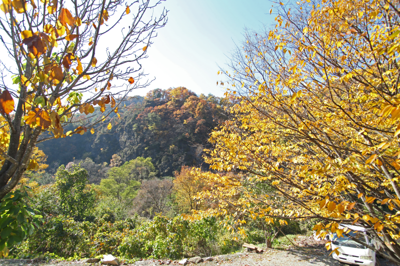 단양샬롬펜션 이미지