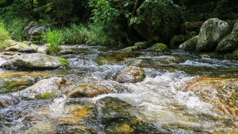 단양샬롬펜션 이미지