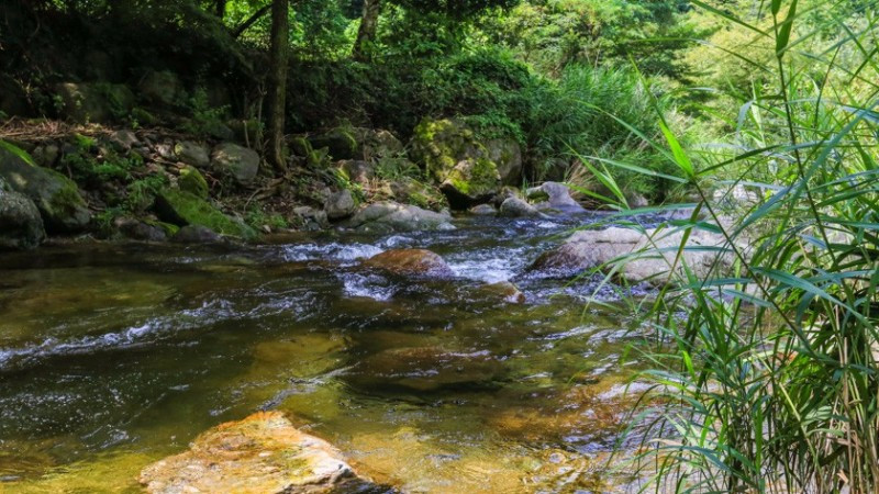 단양샬롬펜션 이미지