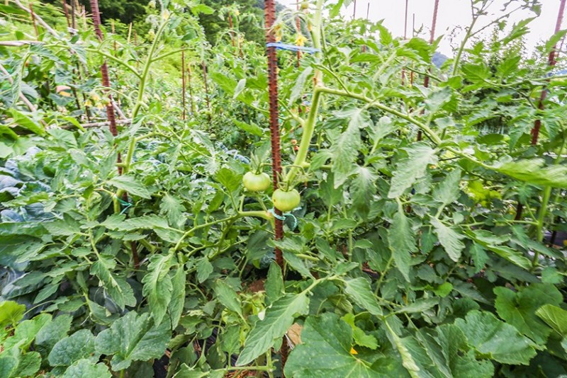 산마루펜션 이미지