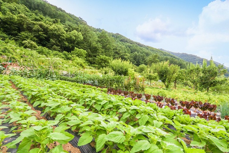 산마루펜션 이미지