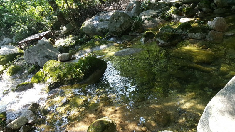 학현힐링펜션 이미지