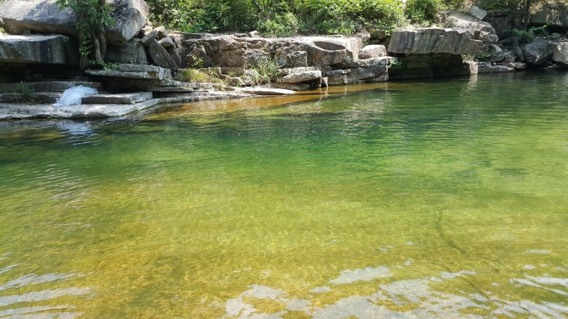 학현힐링펜션 이미지