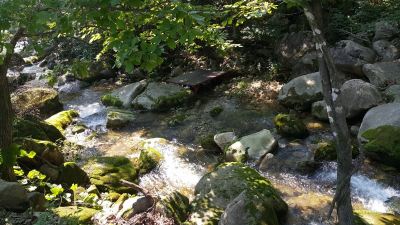 학현힐링펜션 이미지