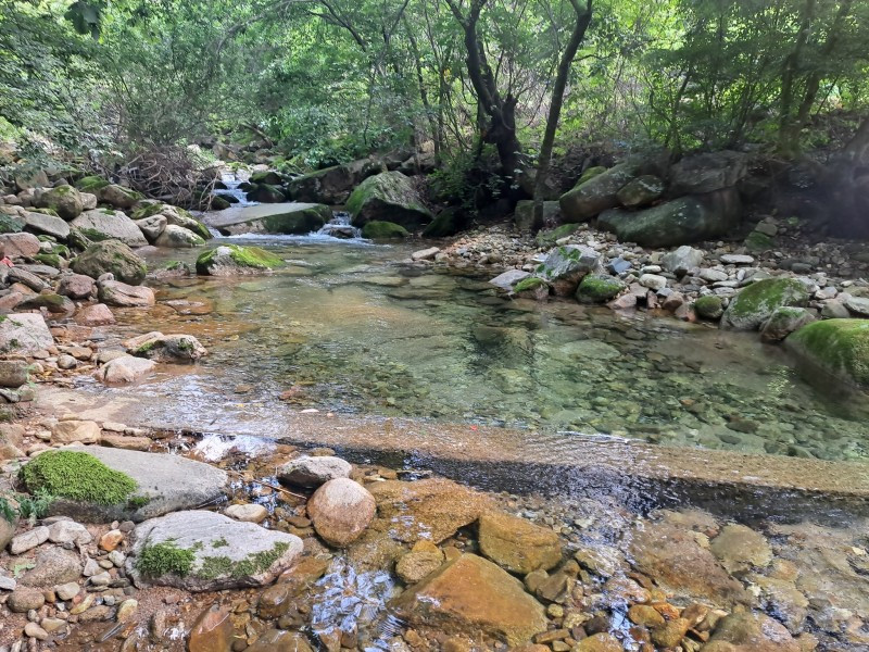학현힐링펜션 이미지