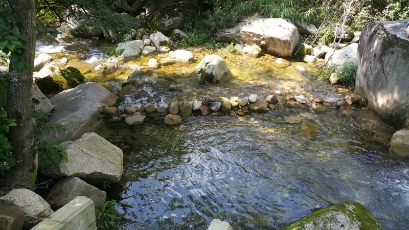 학현힐링펜션 이미지