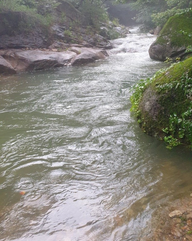 학현힐링펜션 이미지