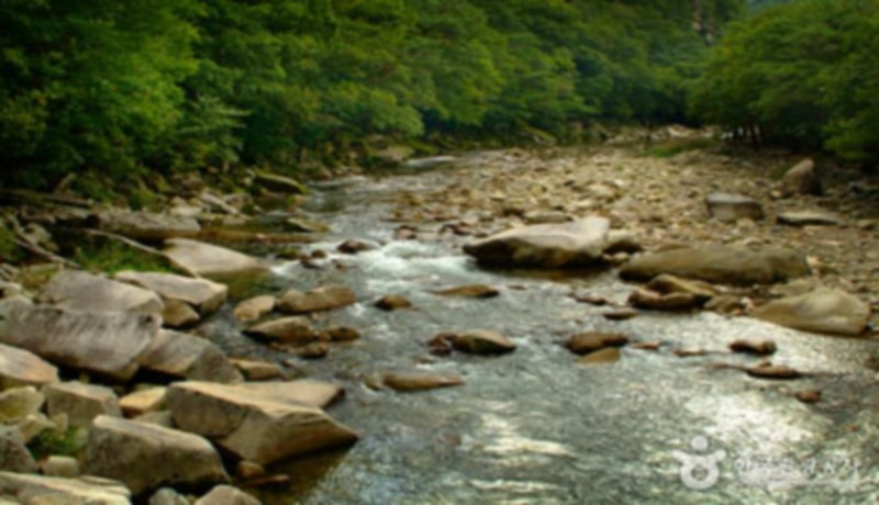 소백산풍경펜션 이미지