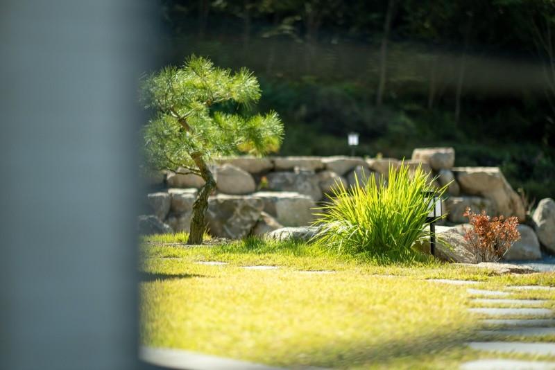 라온솔펜션 이미지