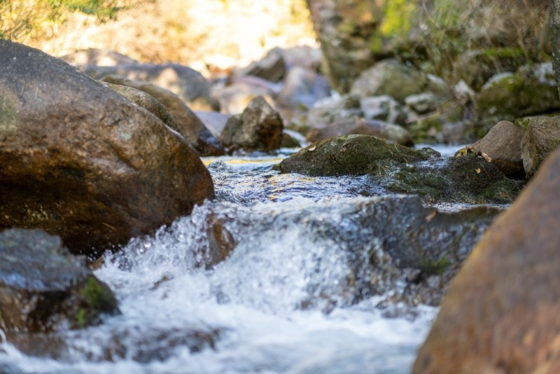 라온솔펜션 이미지