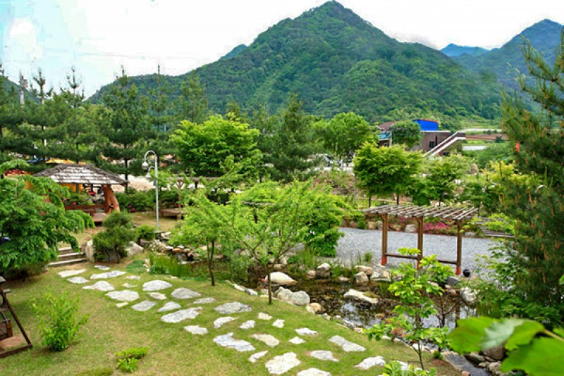 연화봉펜션 이미지