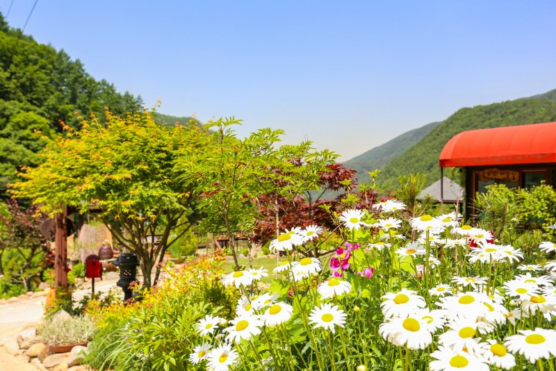 꽃뜨란펜션 이미지