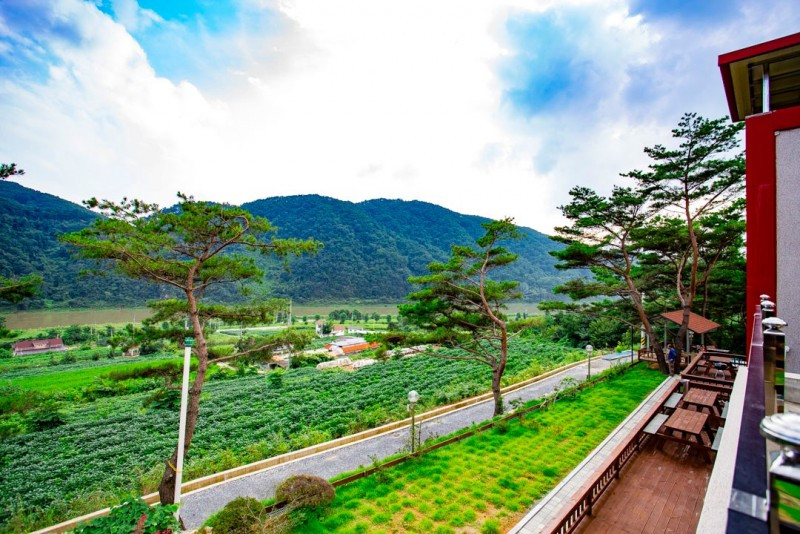 남한강솔밭펜션 이미지