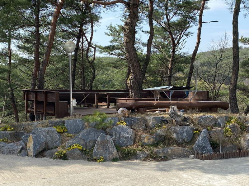 남한강솔밭펜션 이미지