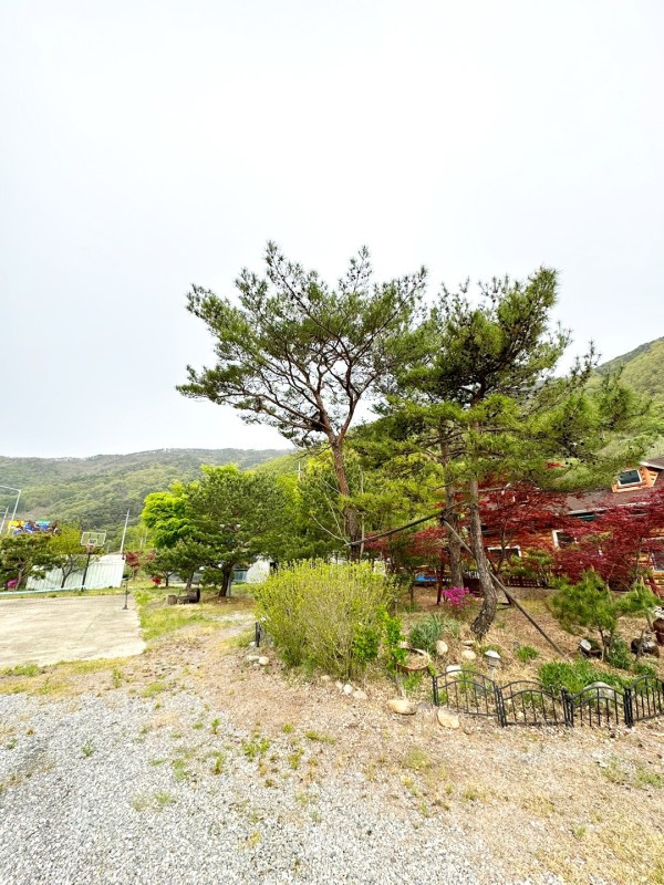 마론펜션 이미지