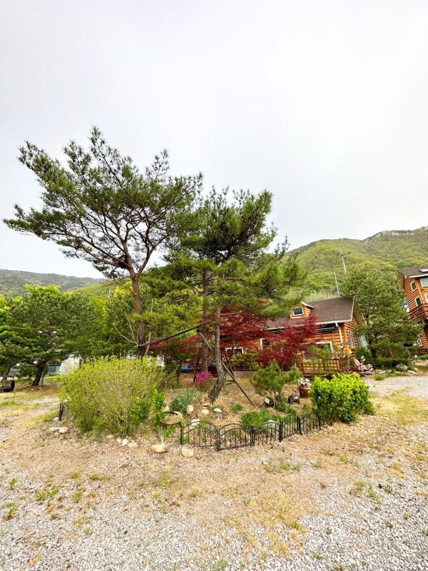 마론펜션 이미지