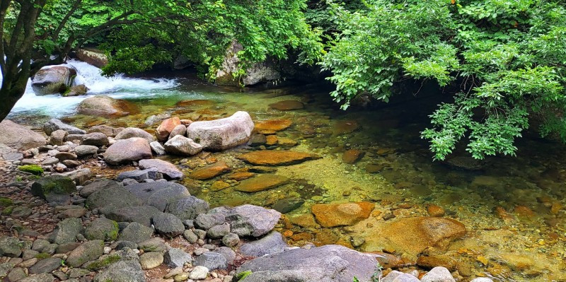 몽벨리펜션 이미지