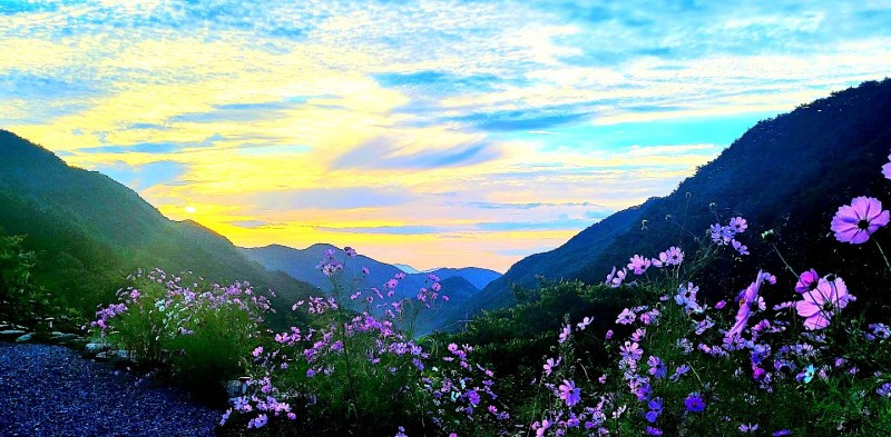 몽벨리펜션 이미지