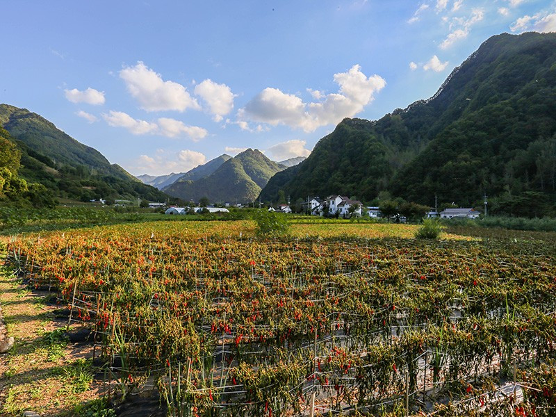 숲속의하루 이미지