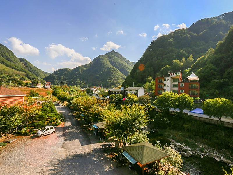 숲속의하루 이미지