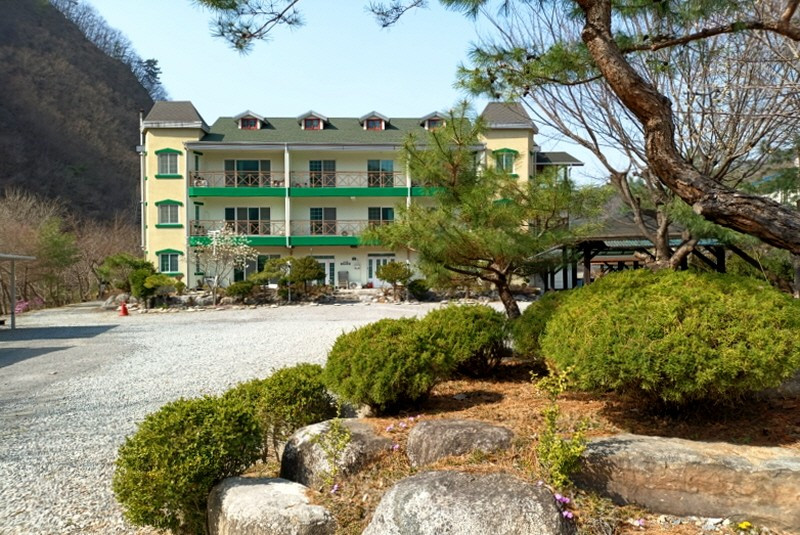 숲속의하루 이미지