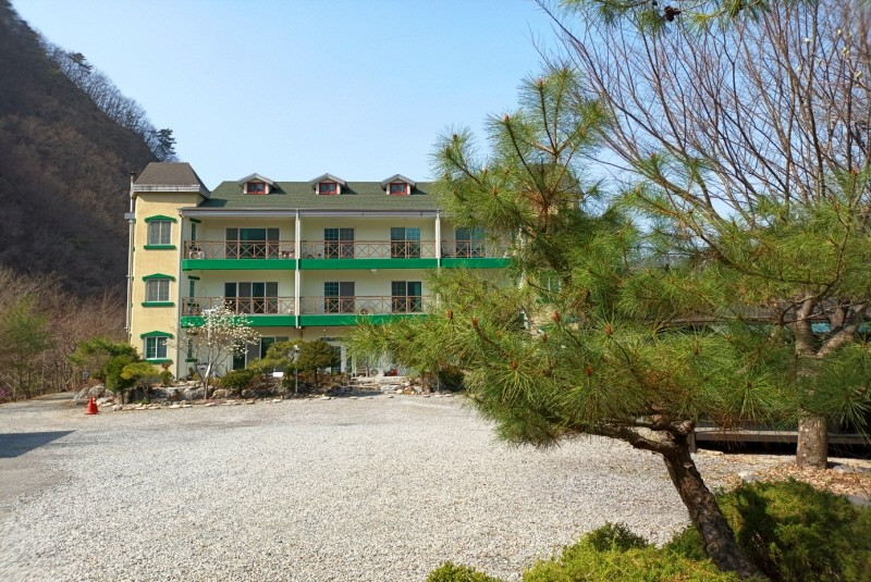 숲속의하루 이미지