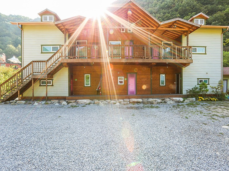 숲속의하루 이미지