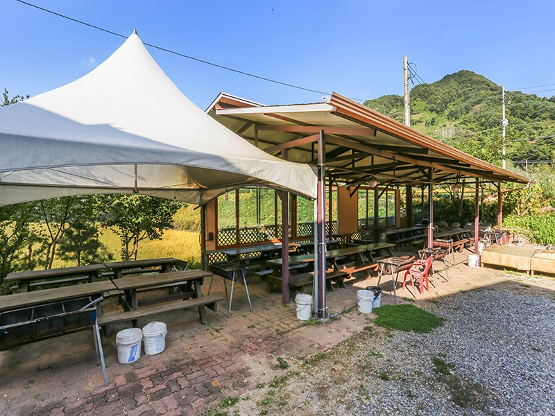 숲속의하루 이미지