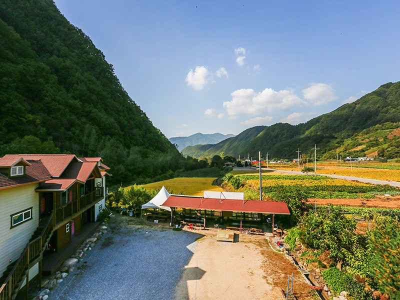 숲속의하루 이미지