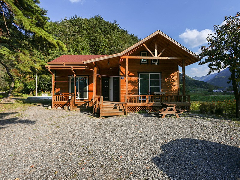 숲속의하루 이미지