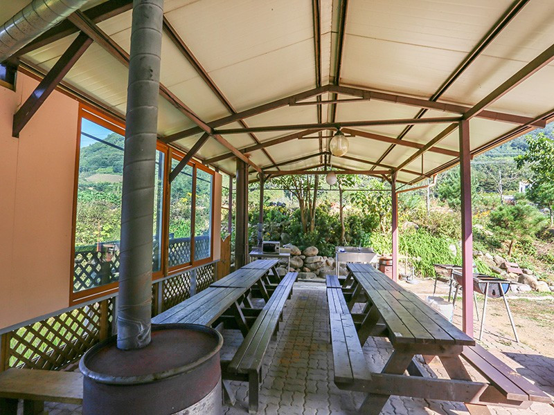 숲속의하루 이미지