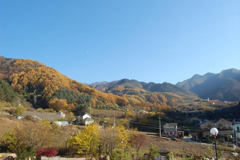 큰양지펜션 이미지