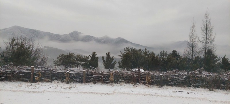 화이트하우스펜션 이미지