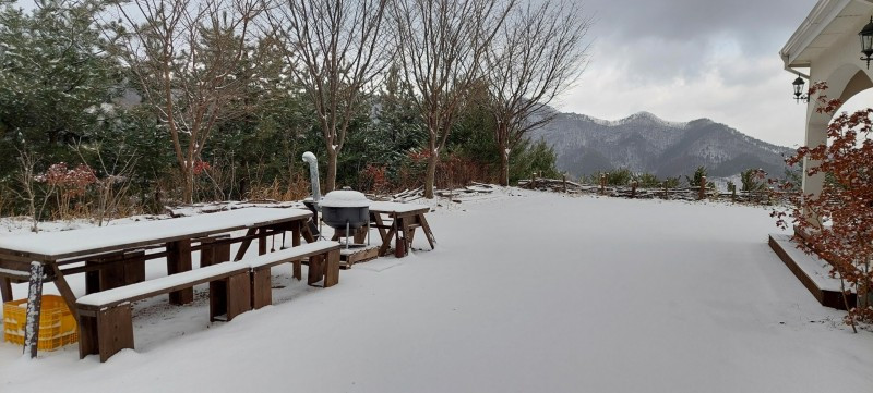 화이트하우스펜션 이미지