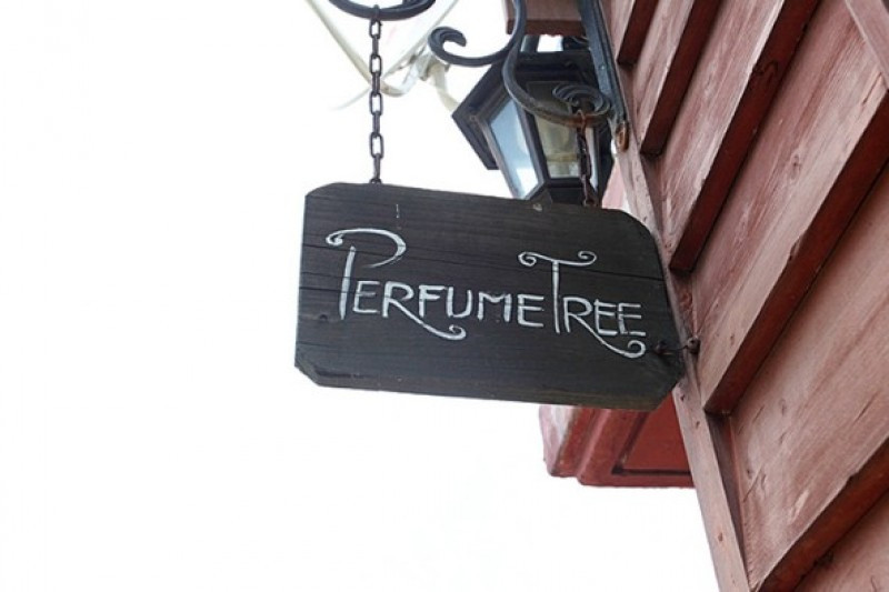 향기나무펜션 이미지