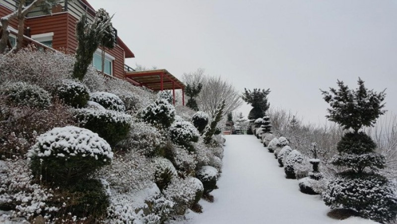 향기나무펜션 이미지