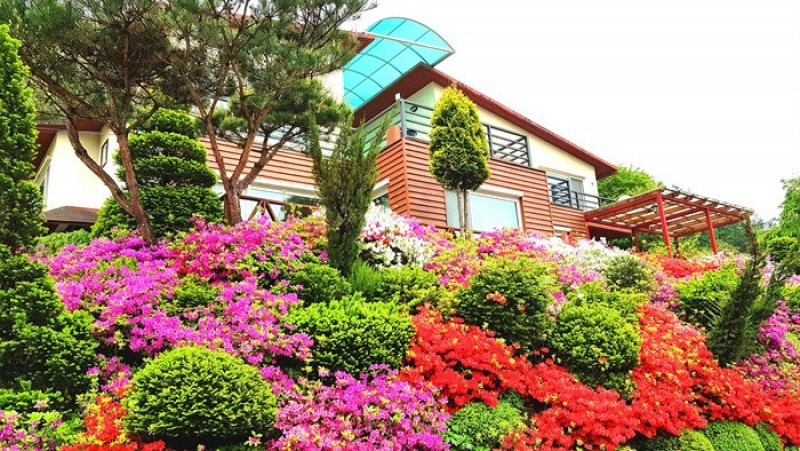 향기나무펜션 이미지