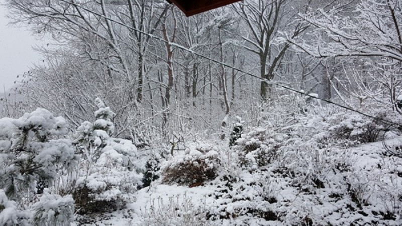 향기나무펜션 이미지