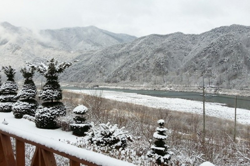 향기나무펜션 이미지