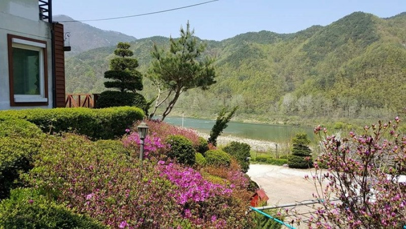 향기나무펜션 이미지