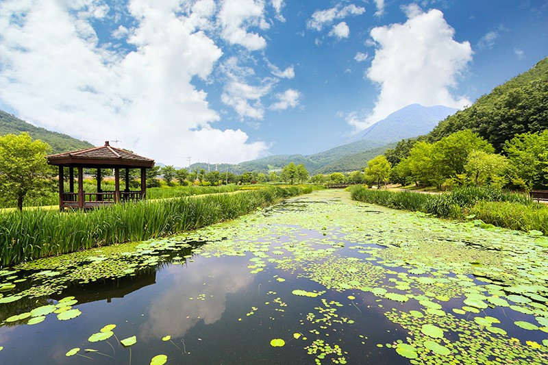 단양가야펜션 이미지