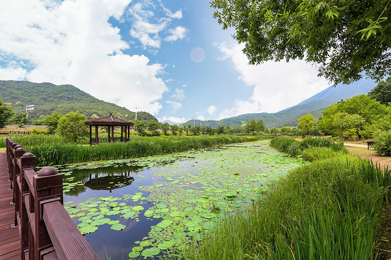 단양가야펜션 이미지