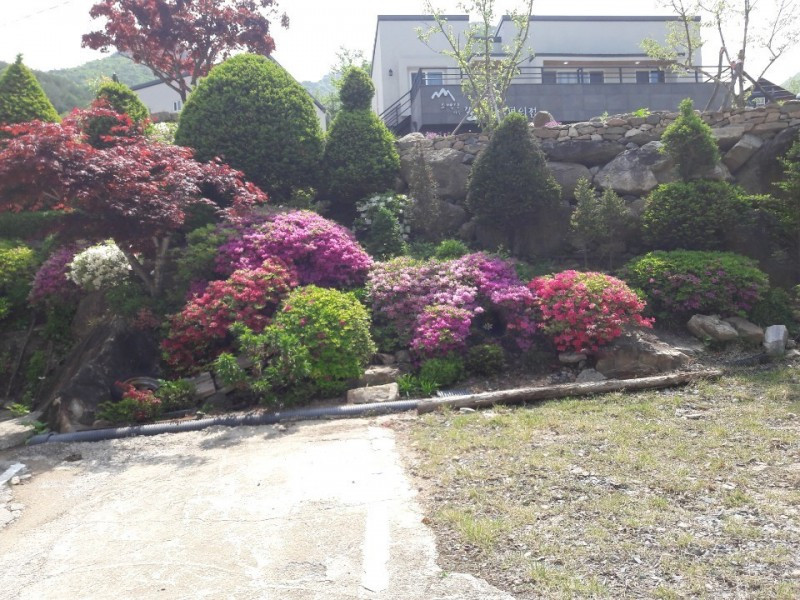 푸른농원펜션 이미지