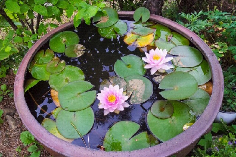 풀내음펜션 이미지