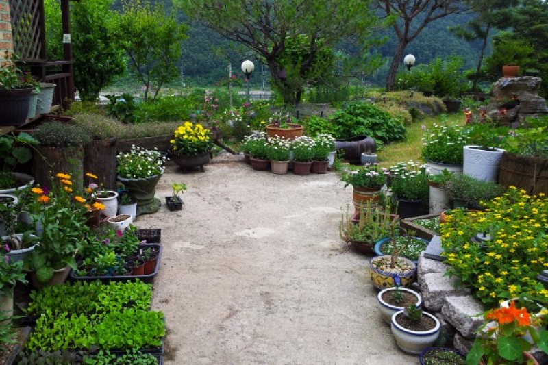 풀내음펜션 이미지