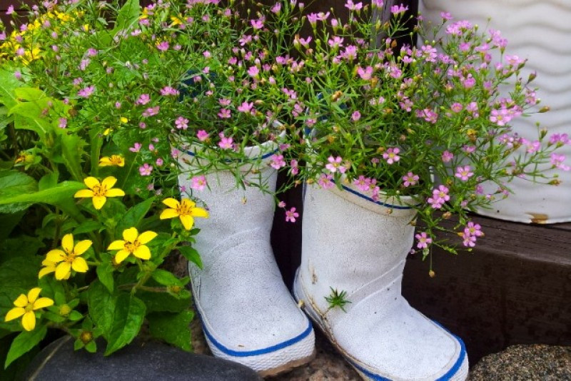 풀내음펜션 이미지