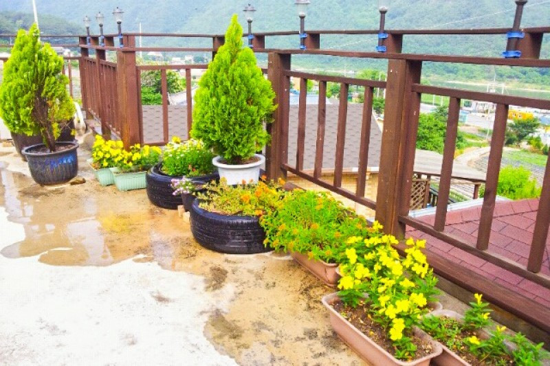 풀내음펜션 이미지