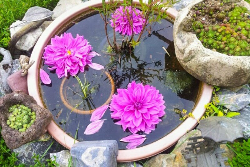 풀내음펜션 이미지